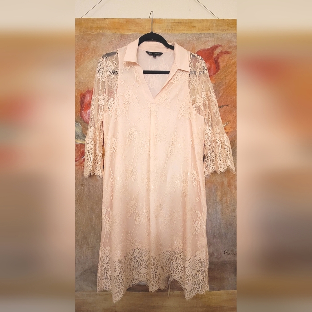 Blush COCOBELLA 60's Inspired dress Size 14